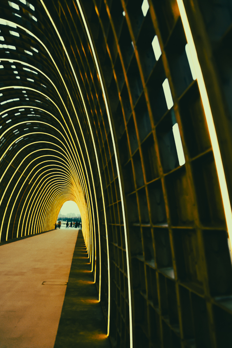 上海奉贤jw酒店外的水上光影长廊