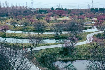 1F0FF6F9-1568-4914-BF95-2C52958A2350/L0/001