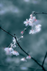 55C50A6F-040B-4148-8AE5-8FD5B1FB2D16/L0/001