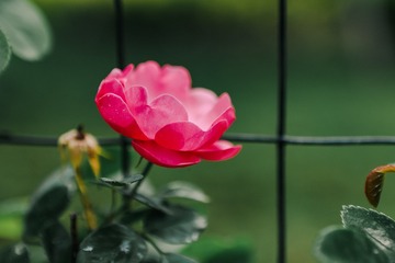 546FED1D-1D05-4A4C-8A60-098DAB464400/L0/001