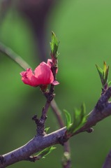 FA6E6923-89D6-4671-AE15-01280B6F9334/L0/001
