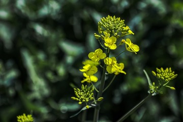 DCE704EE-5D23-49F6-B06B-32EE900EF6BC/L0/001