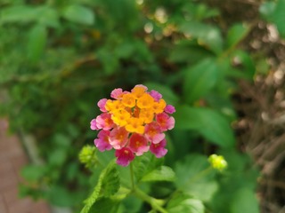 192181