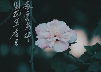 89739
