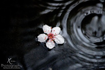 IMG_1221@.jpg