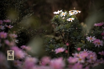 A2388E17-91A3-46F0-928D-2EE17BEBD3D4/L0/001