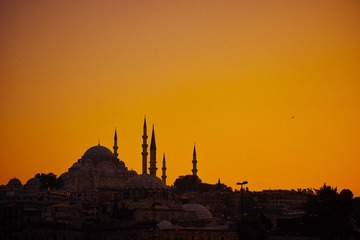 SDIM2323-1