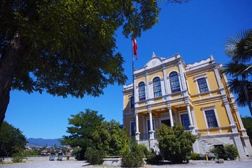 SDIM1813