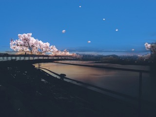 35606