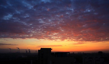 IMG_6869a.jpg