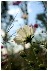 IMG_7150.jpg