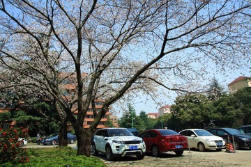 IMG_8103.jpg