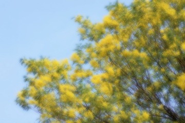 IMG_8135.jpg