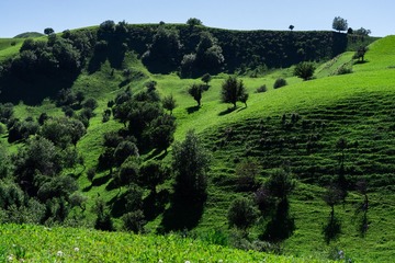 9F0E39C5-B2BE-4CE1-BFBB-FF4F2D6BEF7A/L0/001