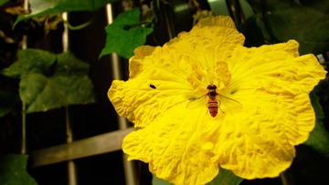 IMG_1664.jpg