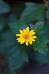 B9914D07-63B3-4719-BBD2-54BB25A4853E/L0/001