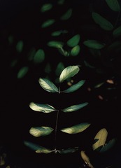 A72CEA19-849B-4A5C-AE0F-7E7FB188FA03/L0/001