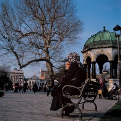 44876-10.jpg