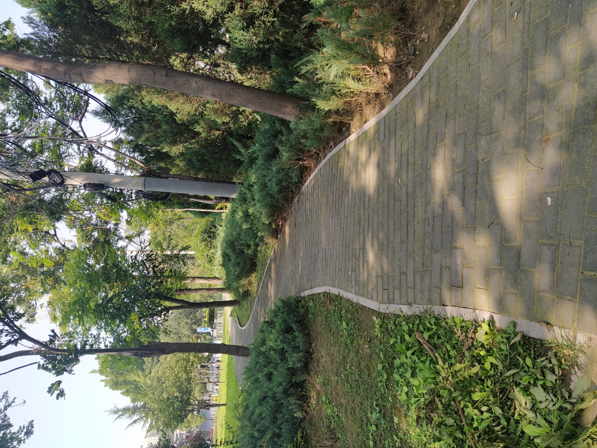 喧闹路边的小公园 - 停下脚步的小北 - 图虫