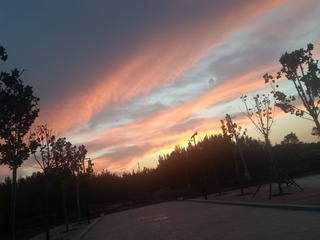 150296