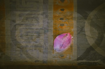 5149569