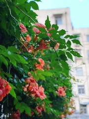 C4B3A093-4027-4CB4-BEC3-8BCE481F6EB7/L0/001