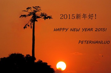 2015NEW YEAR