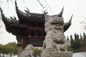 DSC05213.JPG