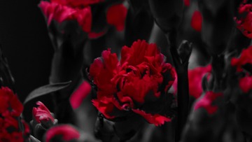4FBCE3DF-4A81-438D-82EF-F7B74BA4AB5B/L0/001