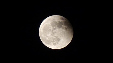 71CBBE75-987B-4C1F-B498-200054AB67ED/L0/001