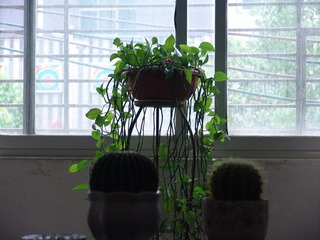 DSC00840.JPG