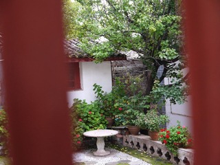 P1000086.JPG