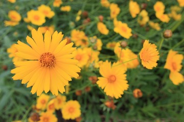 CC0972FF-E7CE-4151-AB1D-33356D51BAA7/L0/001