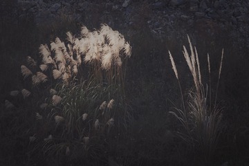 DF6551D4-081E-406C-A34E-D549D874699B/L0/001