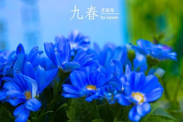 _MG_0220.jpg