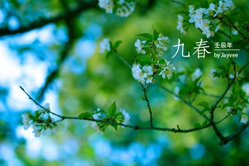 _MG_0231.jpg