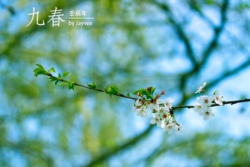 _MG_0255.jpg