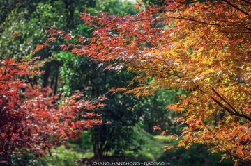 IMGP9297-2_副本-2.jpg