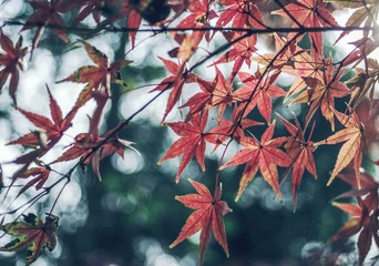 IMGP9716-2_副本-2.jpg