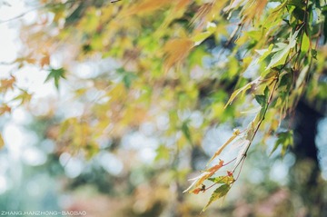 IMGP9747-2_副本-2.jpg