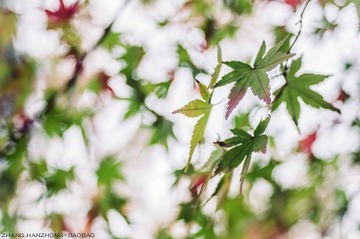 IMGP9754-2_副本-2.jpg