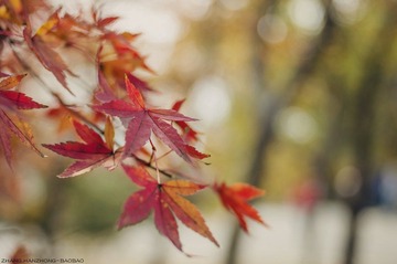 IMGP9786-2_副本.jpg