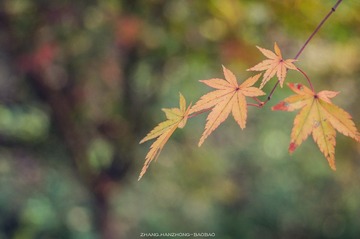 IMGP9797-2_副本.jpg