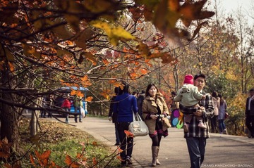 IMGP9888-2_副本-2.jpg