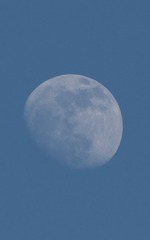 9F3FE2CA-13E0-4AEA-BCBA-A8F567C4C40E/L0/001