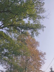1F2C0C23-69E2-4401-9A8B-65D69E696B95/L0/001