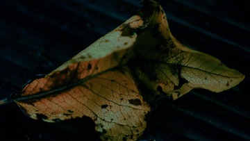 F6A5D3D0-9EB6-47CA-B185-EE73357CB638/L0/001