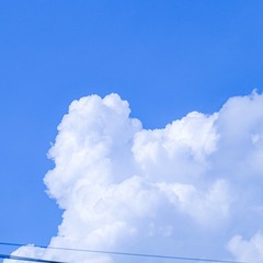 56982