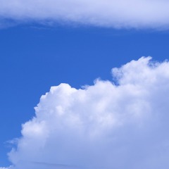 57568