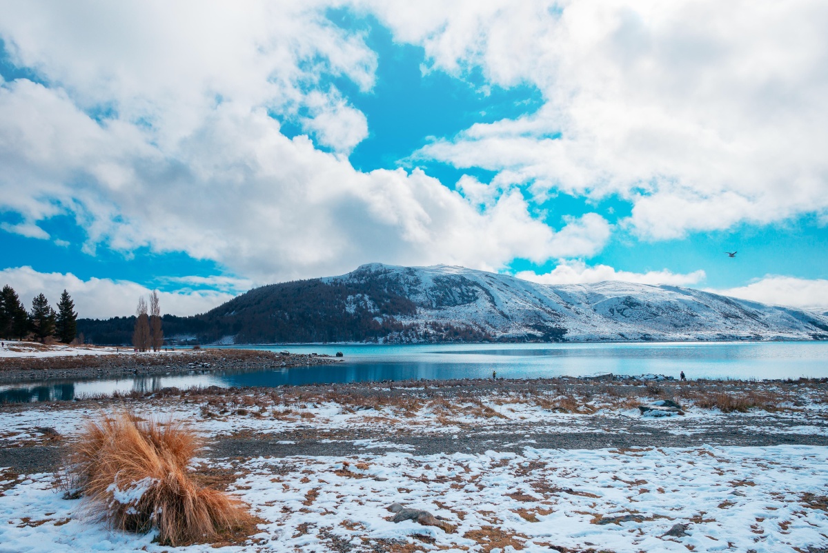 风景在路上,不必在乎目的地.湖清水萝卜关注